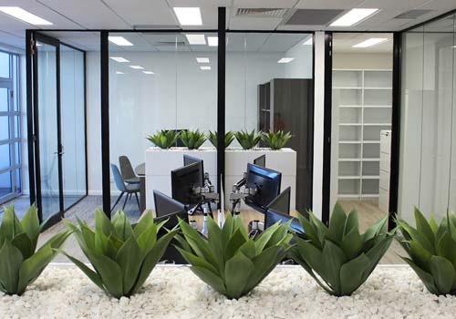 krost-plant-1